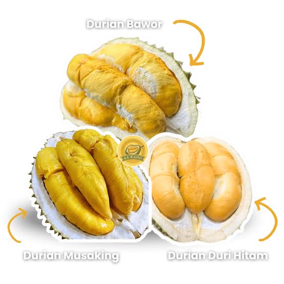 8 Jenis Durian Lokal Terbaik dan Paling Diminati
