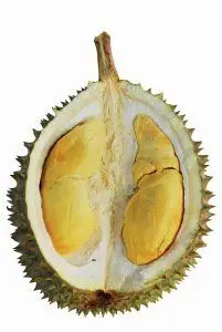 MASMUAR EDWM